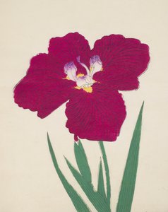 Tai-Hei-Raku, č. 18, 1890 (barevný dřevotisk) od Japanese School