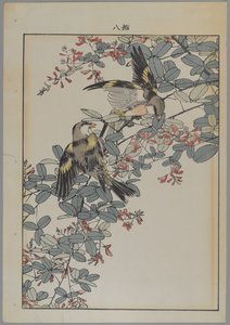 Dva ptáci s růžovými květy, období Meiji, cca 1868-1912 (barevný dřevotisk) od Japanese School
