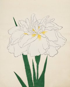 Ujaku-No-Nagisa, No. 61, 1890 od Japanese School