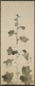 Bílé topolovky, období Edo, 1615-1868 (inkoust, odstín a zlato na papíře) od Japanese School
