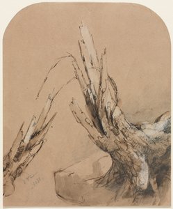 A Blasted Tree (recto) Půdorys (verze)