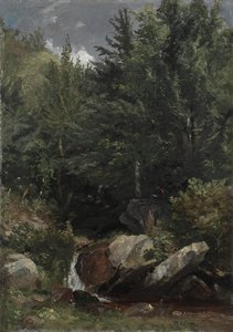 Stromy a potok na svahu, 1853.