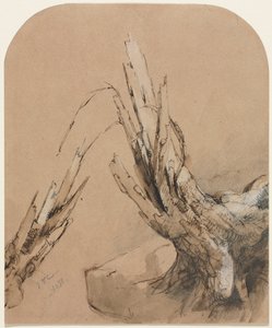 Odstřelený strom, 1851. od Jasper Francis Cropsey