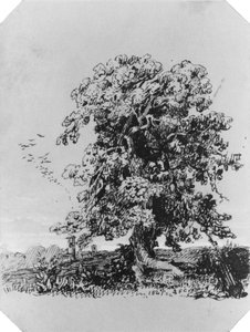 Krajina se stromem a vesnicí v dálce (z Cropseyova alba) od Jasper Francis Cropsey