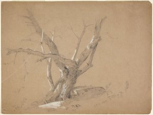 Studie stromu od Jasper Francis Cropsey