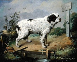 Newfoundland na nábřeží od Jean Baptiste Desgrange