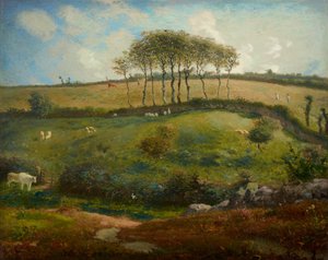 Pastviny poblíž Cherbourgu (Normandie)