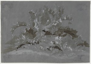 Studium plevelů, 1800-1850.