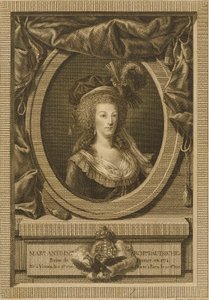 Marie Antoinetta, vévodkyně rakouská od Jean Antoine Pierron