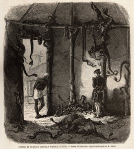Uvnitř chrámu hadů fetiches, ve Wydah, v Dahomey (dnešní Benin), kresba Jean Antoine Foulquier (1822-1896), ilustrující cestu Dr. Repina do Dahomey v roce 1860. Rytina „“ Le tour du monde“ “, editoval Edouard Charton