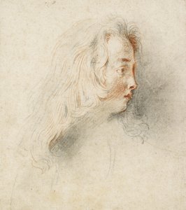 Hlava chlapce z profilu (černá a červená křída na potřísněném špinavě bílém papíře) od Jean Antoine Watteau