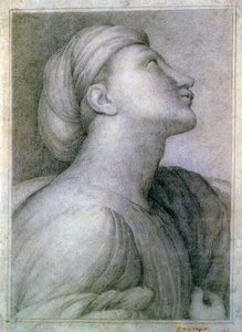 Profil obličeje od Jean Auguste Dominique Ingres
