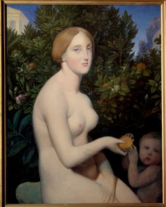 Venuše z Paphos, portrét Madame Balay (1833 - 1901). Obraz Jean Auguste Dominique Ingres (1780-1867), obraz dokončen Alexandre Desgoffe (1805-1882) od Jean Auguste Dominique Ingres