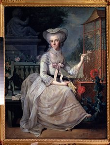 ""Mladá dáma v kleci"" (Mladá dáma v kleci) Obraz Jean-Baptiste (Jean Baptiste) Charpentier (1728-1806) 1784 Puškinovo muzeum, Moskva