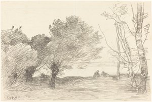 Vrby a topoly bílé (Saules et peupliers blancs) od Jean Baptiste Camille Corot