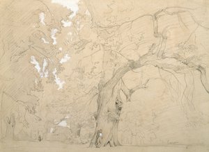 Mladý muž před velkým dubem, cca 1840 (tužka a kvaš na papíře) od Jean Baptiste Camille Corot