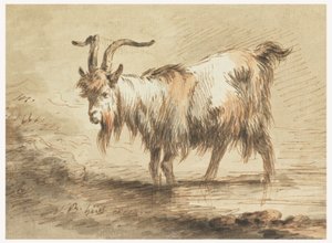 Kresba, Studie kozy, 1772 od Jean Baptiste Huet