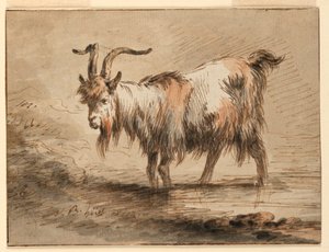 Kresba, Studie kozy, 1772 od Jean Baptiste Huet