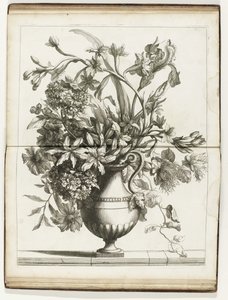 Bloemenvaas Knihy několika květinových váz vyrobených podle Natural (název série) od Jean Baptiste Monnoyer