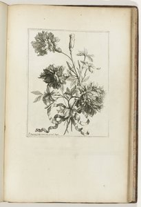 Vázaná kytice Les Petits Bouquets (název série) od Jean Baptiste Monnoyer