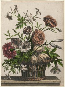 Marigolds, single Sasanka, Jasmine.... od Jean Baptiste Monnoyer I