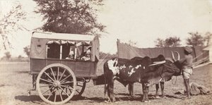 [Campbell Twins in a Shigram, Governor General
