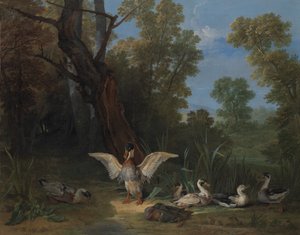 Enten ruhen im Sonnenschein von Jean Baptiste Oudry