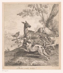 Jeleni napadeni loveckými psy Arrêtés, circles, arrêtez (...) (název na předmětu) Lovecké scény (název série) od Jean Baptiste Oudry
