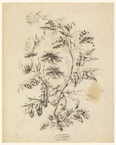 Větev fantastického stromu od Jean Baptiste Pillement