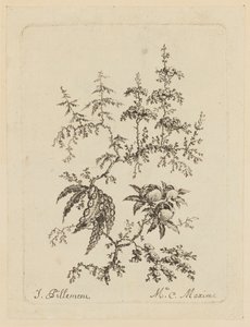 Fantastická květina od Jean Baptiste Pillement