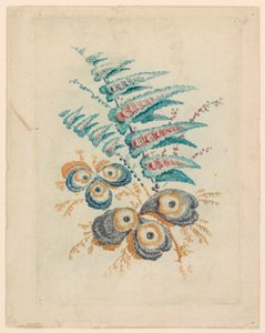 Fantastický květinový motiv z Nouvelle Suitete de Cahiers de Fleurs Idéales od Jean Baptiste Pillement