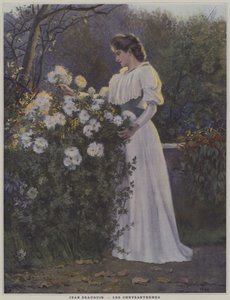 Les Chrysanthemes (Chryzantémy)