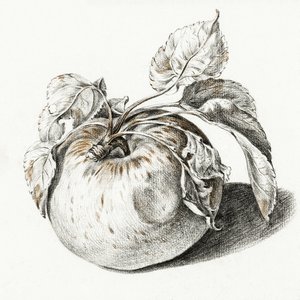 Apple od Jean Bernard