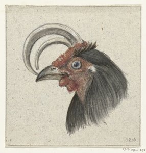 Hlava kohouta od Jean Bernard