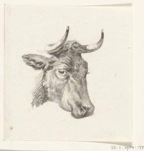 Hlava krávy od Jean Bernard