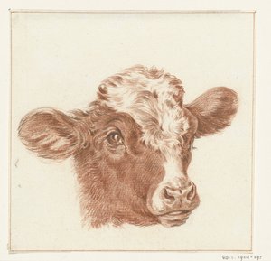 Hlava krávy od Jean Bernard