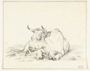 Ležící kráva, zepředu od Jean Bernard
