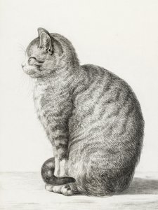 Sedící kočka (1815)
