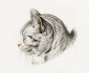Náčrt kočky (1813)