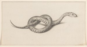 Slang od Jean Bernard