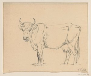 Stojící kráva, vlevo od Jean Bernard