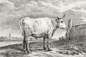 Standing Bull (1817) od Jean Bernard