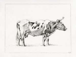 Stojící kráva (1820)