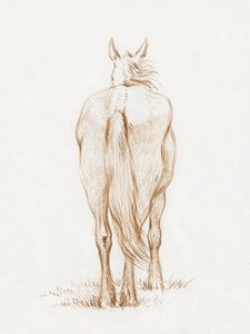 Stojící kůň (1815) od Jeana Bernarda