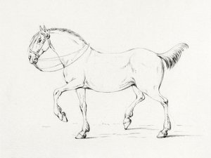 Stepping Horse (1775–1833) od Jean Bernard