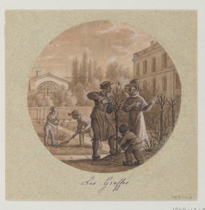 Návrh pro malovaný porcelánový talíř, Les Greffes (štěpy) od Service de la Culture des Fleurs (Služba pěstování květin) od Jean Charles Develly