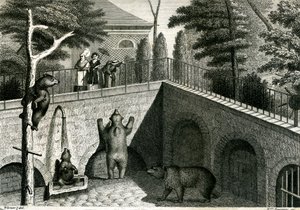 Medvědí brloh v zoo od Jean Charles Werner
