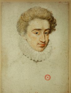 Budoucí francouzský král Jindřich IV. v době sňatku s Markétou z Valois ... (pastelka na papíře) od Jean Clouet