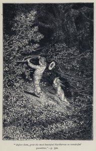 "Před nimi rostly nejkrásnější ostružiny v nádherném množství" (rytina) od Jean Edouard Dargent