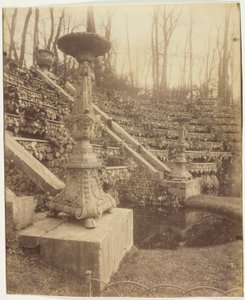Versailles, Le Parc od Jean Eugène Auguste Atget